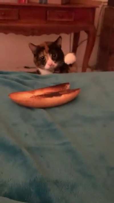 I was told to this sub might like my silly girl.