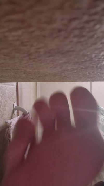 sniff slave