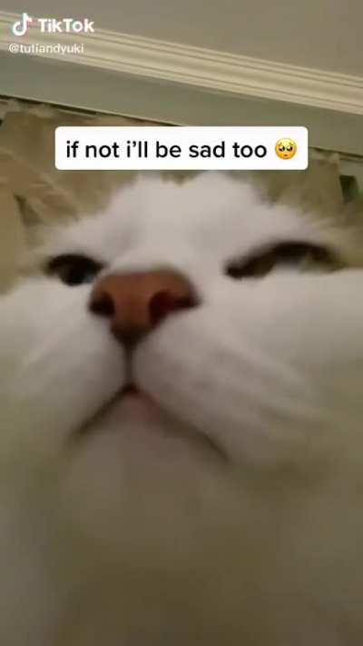 please don&rsquo;t be sad 💜