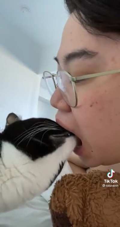 Sorry if this was posted before