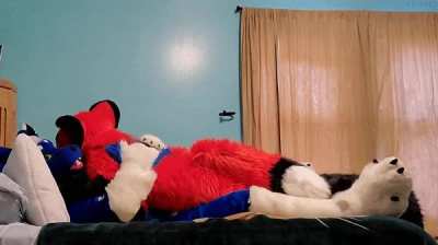Fox pounce!