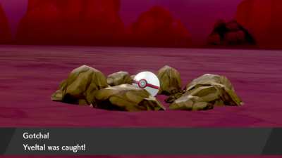 Found a really rare pok&eacute;mon after an insane amount of tries...