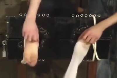 I Fucking Love How She Screams And Thrashes. Tickling Is Its Sexiest When It&rsquo;s Pure Torment