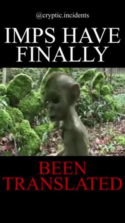 imps: translated
