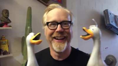 Adam Savage's Duck Army