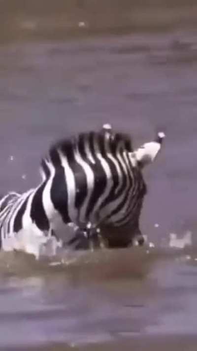 When the Prey Fights Back!
