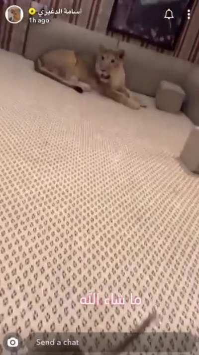 Wait for it