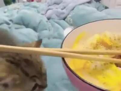 Angry That He's Not Allowed Noodles