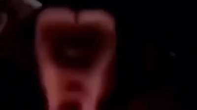 Monkey!!!!