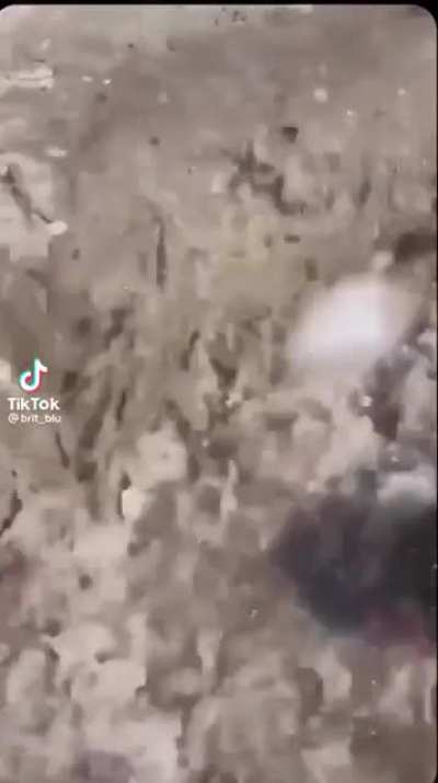 "Mom I found it!"