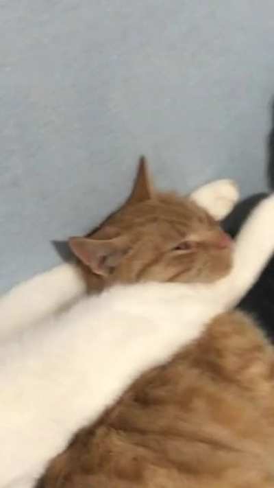Triangle choke