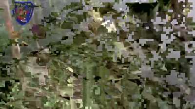 Compilation of 2024-January 2025 Combat from  KNLA and PDF(Coalition of anti-junta rebels and ethnic Karen paramilitaries in Myanmar/Burma) [Music from Source]