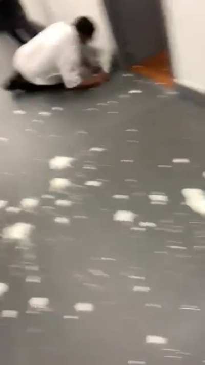 Get pied