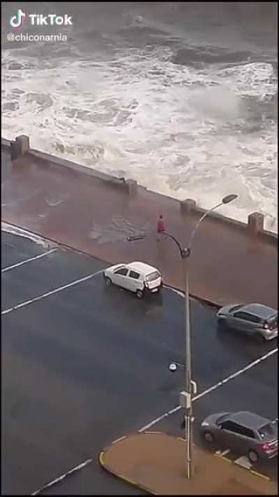 El &uacute;ltimo maestro de agua.