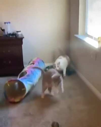 Sneak Attack
