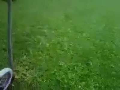 Que choto que sos