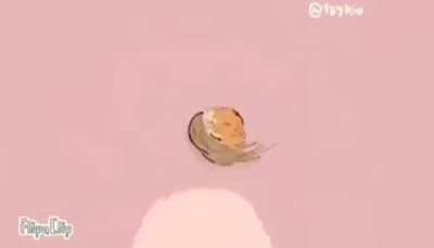 BONK 10000