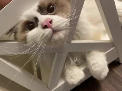 He&rsquo;s a weirdo