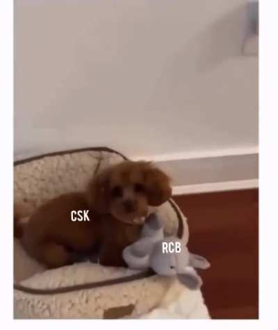 Leaked Highlights of CSK VS RCB