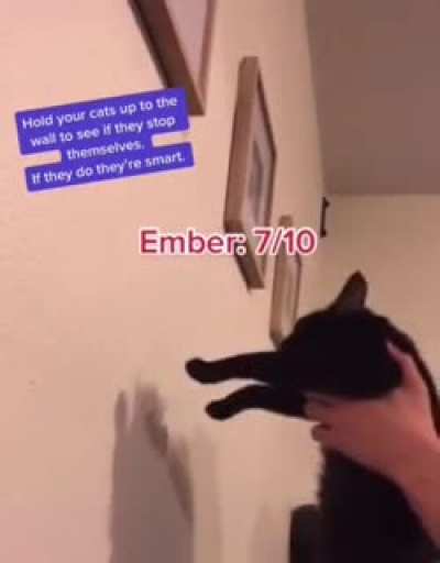 We&rsquo;re all Penelope