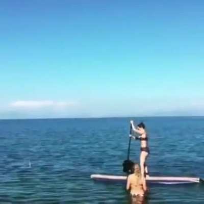 Surfs Up!
