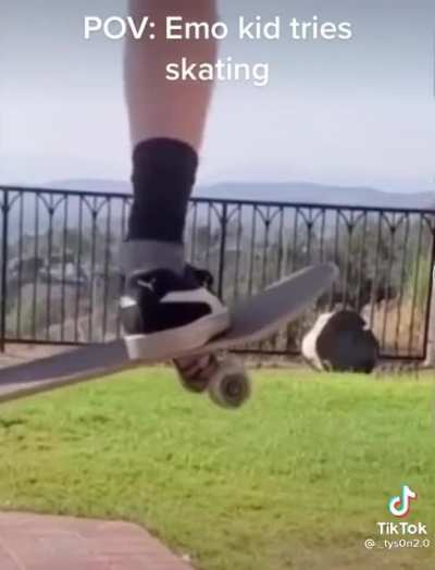 skating and hang with the homies