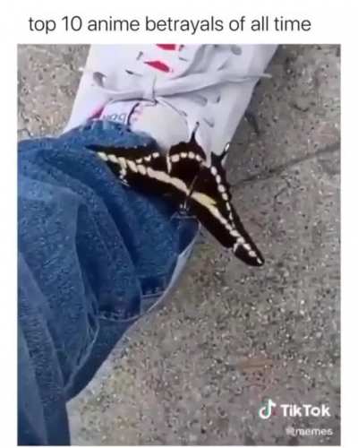 Lets go Mr. Butterfly