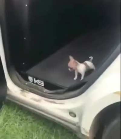 K9 unit