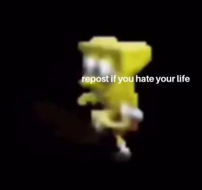 "Why are you posting a video meme at 12:30 in the morning?" "Because I've lost control of my life."