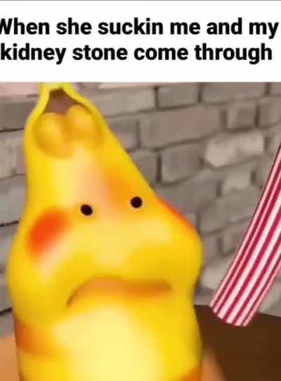 Losercity kidney stone 