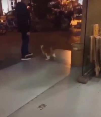Don&rsquo;t disturb my moonwalk hooman!