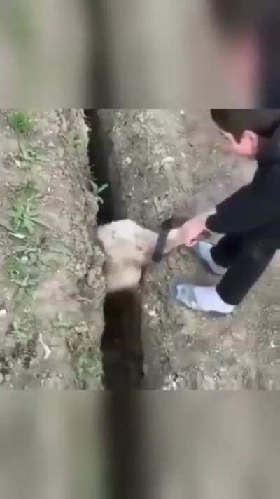 Support main trying to keep their inting ADC alive