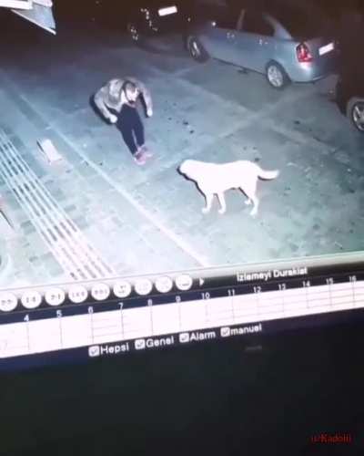 Pozitif video