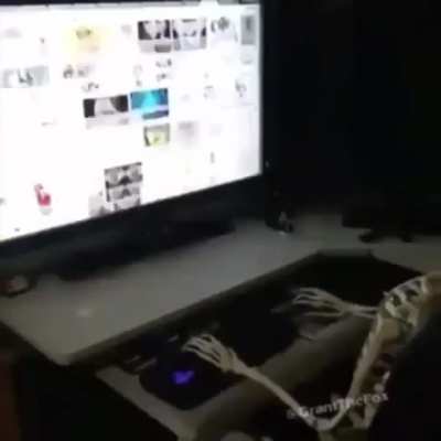 He finally popped his bone
