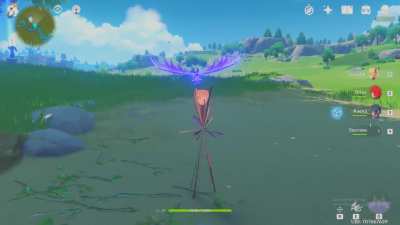 Fishy Bug