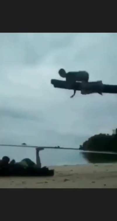 Uma ave um avi&atilde;o