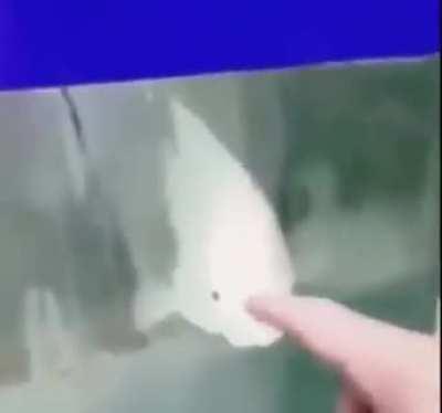 Woaow [loud]