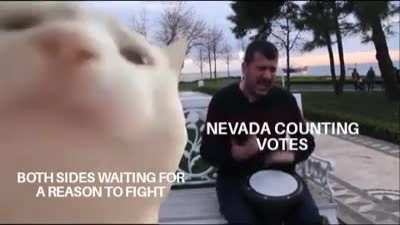 Pike Packity Pote Where Are My Votes