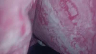 My pussy.
