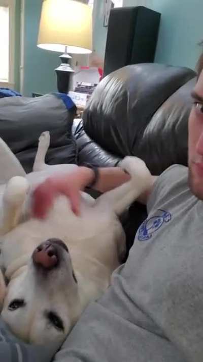 Bella says "you cannot stop the belly rubs"