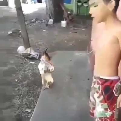 Eu n&atilde;o tenho medo de voc&ecirc;!