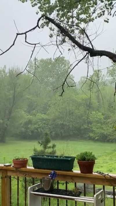 Spring in Missouri