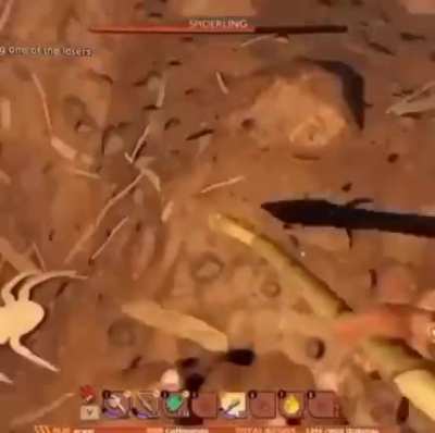 Thanks, I hate giant momma spider
