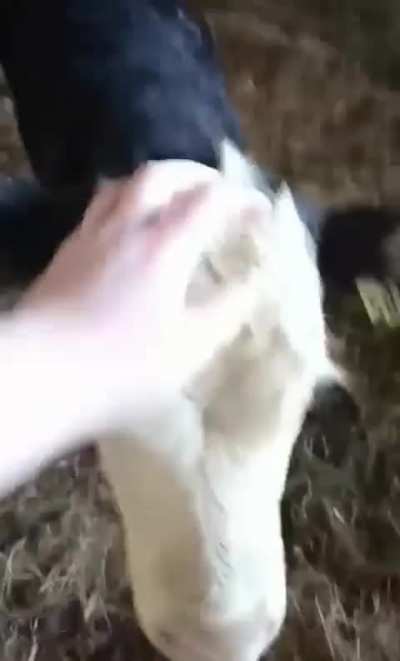 Velvet always gets super happy to see me!!
