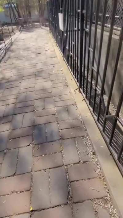 Lucamol😭😭😭