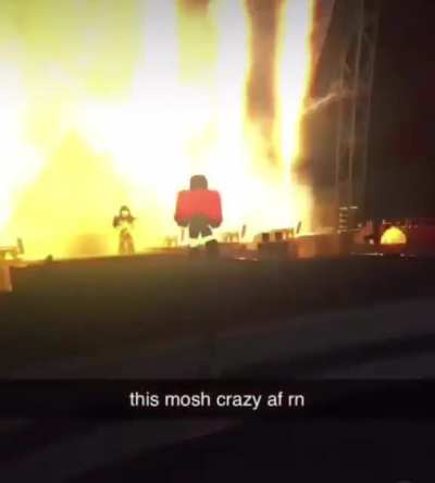 🦇