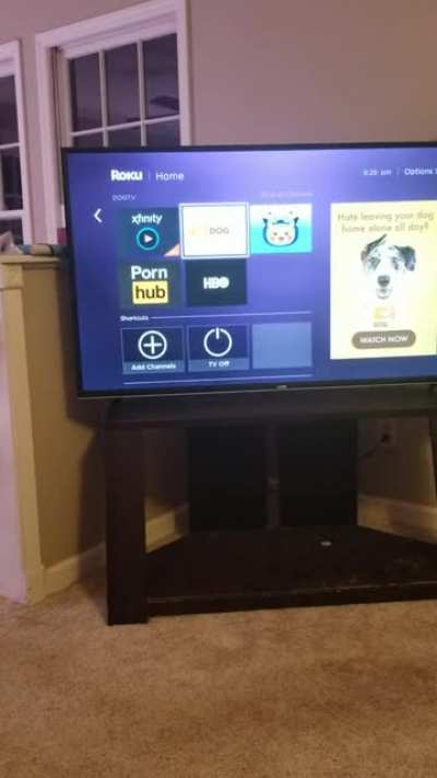 Note to self: Never let Dad use the Roku without supervision