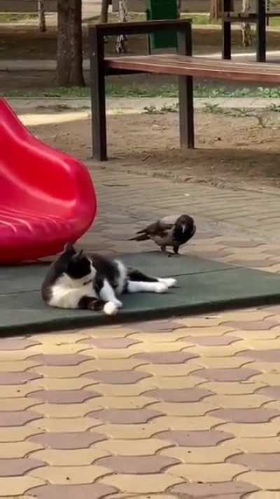 maybe maybe maybe