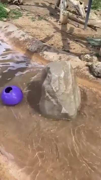 Под лежачий камень... Oh shi~
