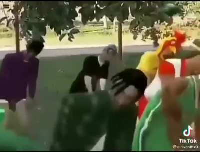 Reunião dos cria